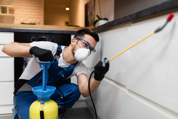Best Affordable Pest Control Services  in Union City, IN