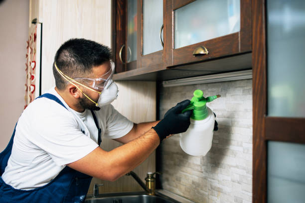 Best Cockroach Control Services  in Union City, IN